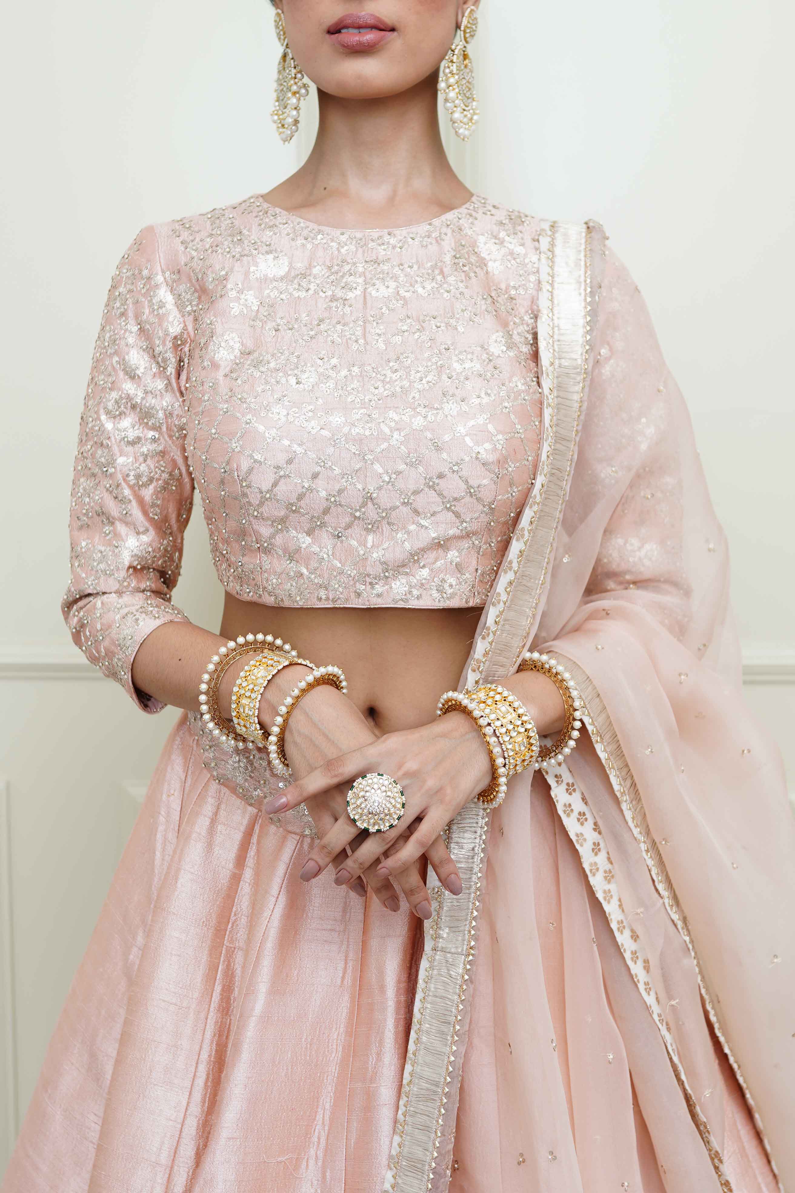 Aafiyah-Pearl Pink Tilla Embroidered Lehenga Set - Image 3